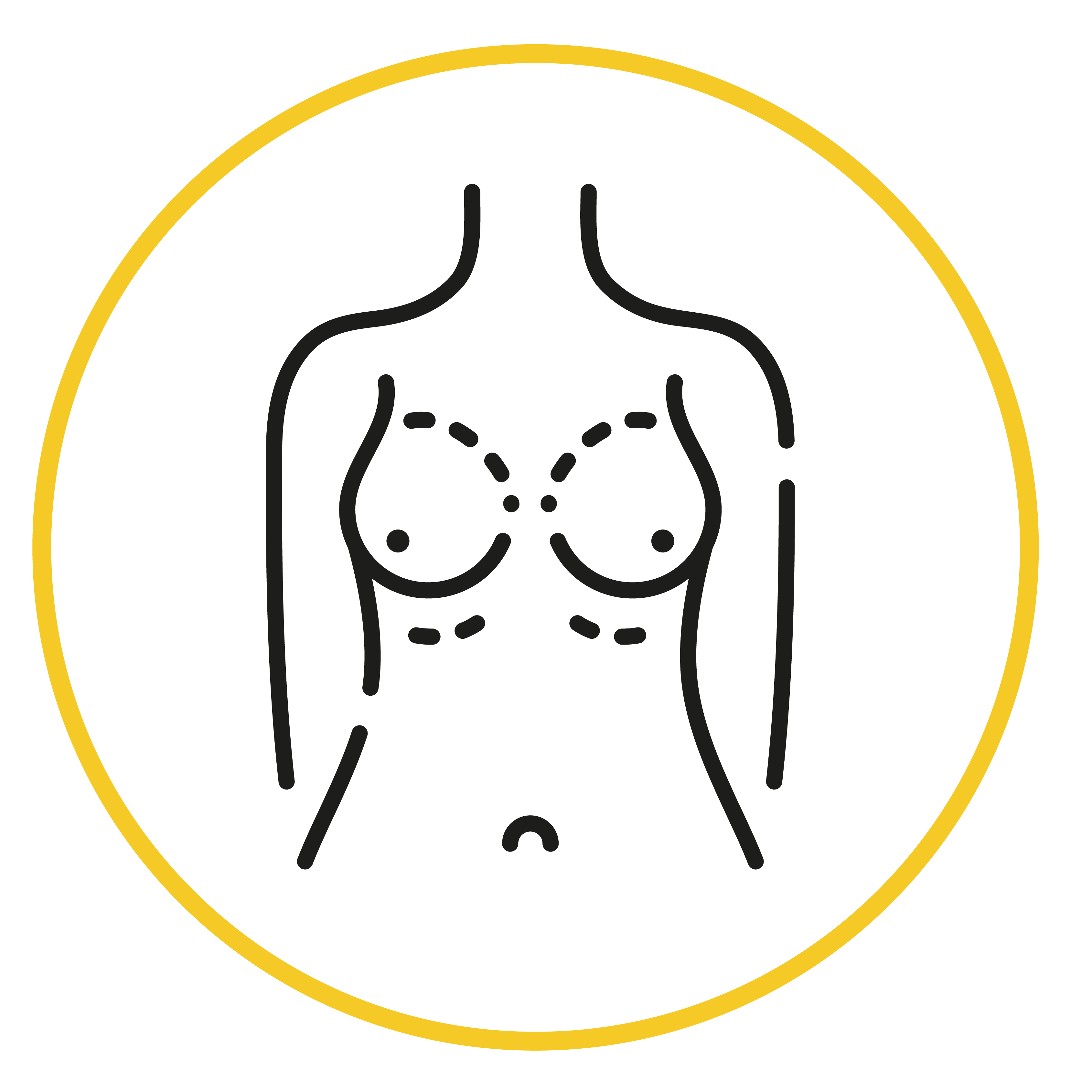 Brustvergrößerung (Mammaaugmentation)
